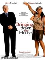 Постер к фильму Дом вверх дном / Bringing Down The House (2003)