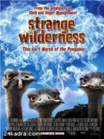 Постер к фильму Снежный человек / Strange Wilderness (2008)